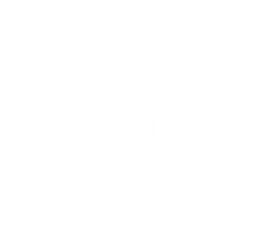 Gienger logo scaled